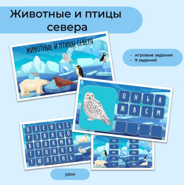 Животные и птицы севера