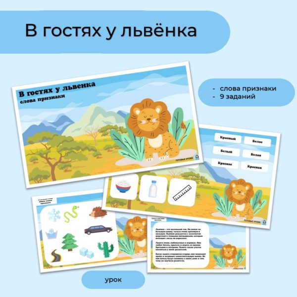 В гостях у львенка